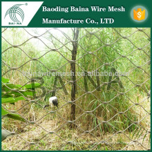 High Quality Tiger Aviary Mesh